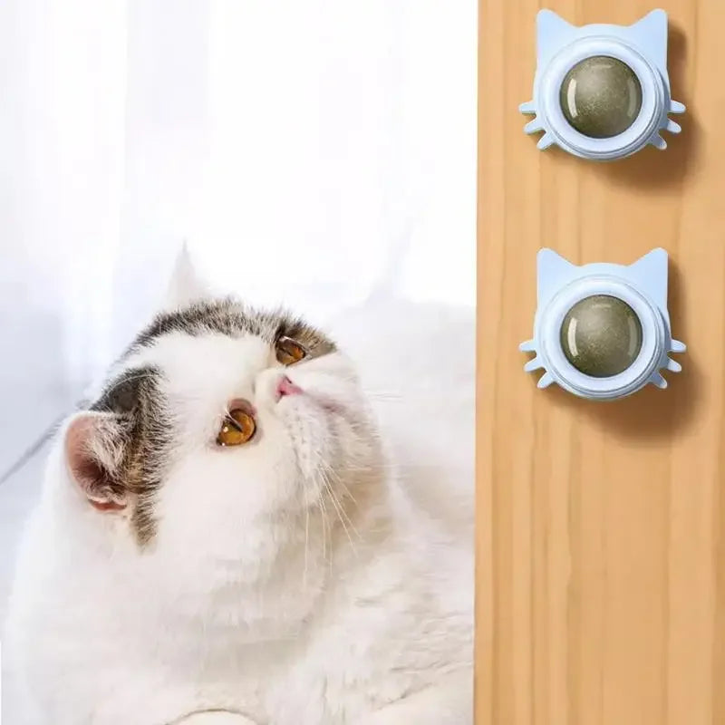 Katzenminze Ball für Katzen